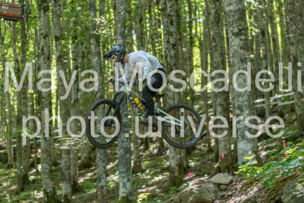 IMG_6411