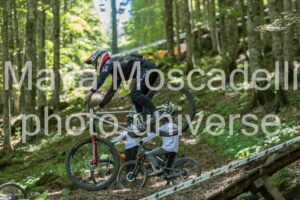 IMG_6421