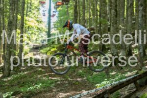 IMG_6442