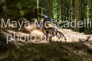 IMG_6460