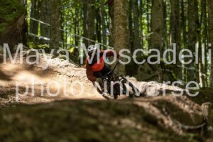 IMG_6464