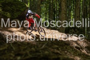 IMG_6475
