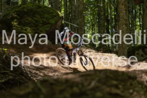 IMG_6479