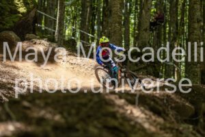 IMG_6497
