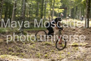 IMG_6954
