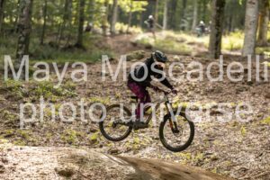 IMG_6956