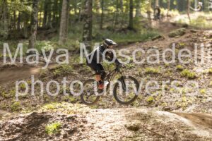 IMG_6972