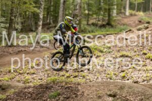 IMG_7017