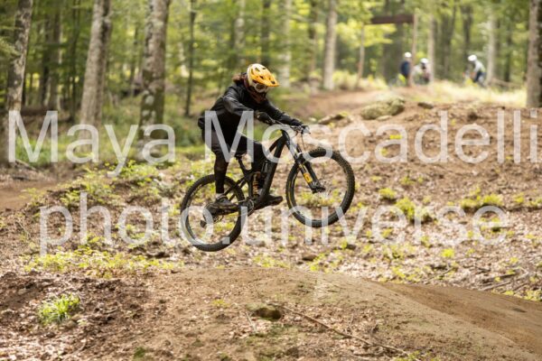 IMG_7084