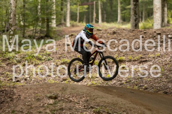 IMG_7117