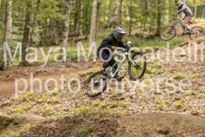 IMG_7206