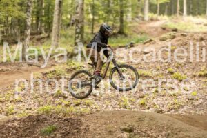 IMG_7211