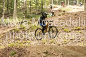 IMG_7241