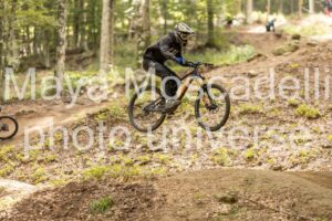 IMG_7243