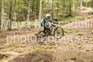 IMG_7253