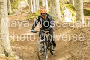 IMG_7319