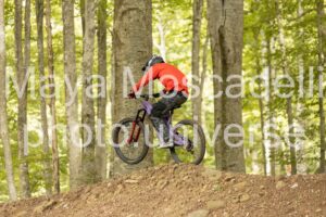 IMG_7327