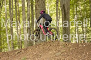 IMG_7328