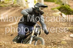 IMG_7334