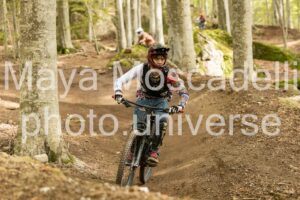 IMG_7351