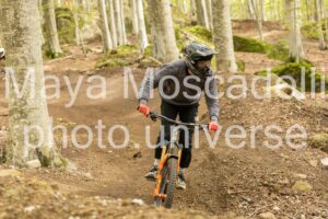 IMG_7384