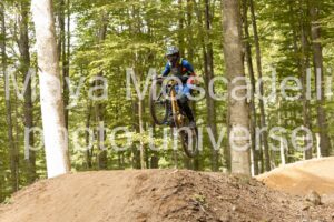 IMG_7481