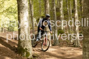 IMG_7503