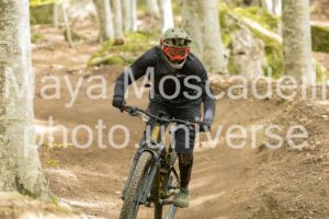 IMG_7520