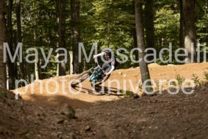 IMG_7540