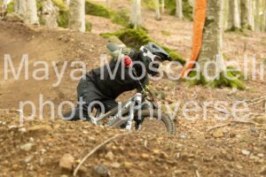 IMG_7584