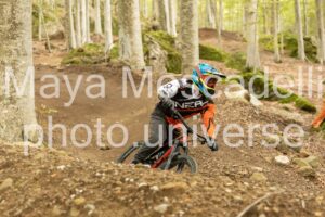 IMG_7630