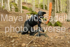 IMG_7650