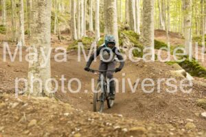 IMG_7651