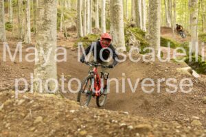 IMG_7656