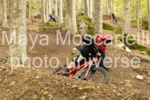 IMG_7658