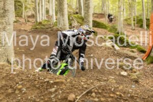 IMG_7703