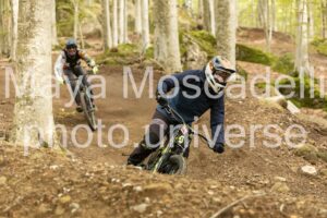 IMG_7724