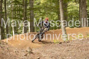 IMG_7742