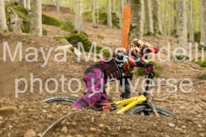 IMG_7770