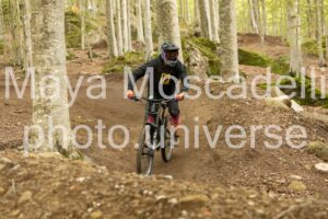 IMG_7771