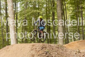 IMG_7798