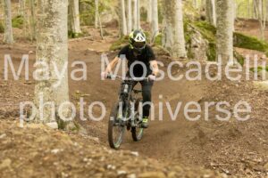 IMG_7805