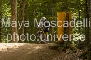 IMG_8341