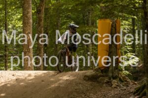 IMG_8342
