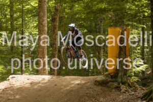 IMG_8351