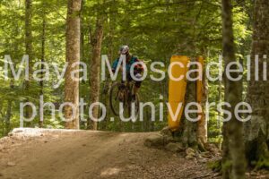 IMG_8361