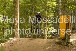 IMG_8409