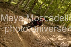 IMG_8484