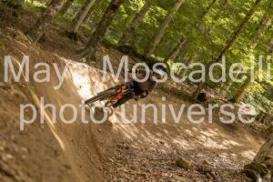 IMG_8487