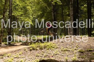 IMG_8500